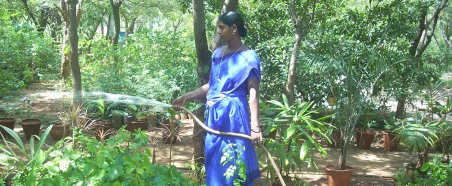 Environmental protection in Tamil Nadu by the NGO Social Change and Development 