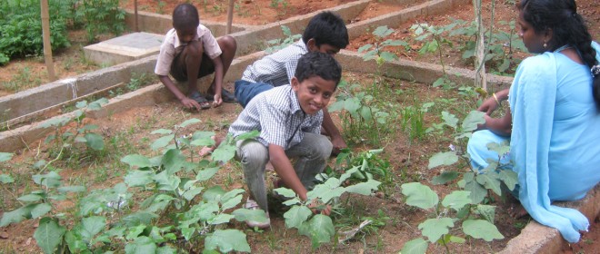 Children working with their plants - SCAD measuring our impact 