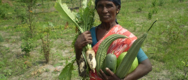 A woman from Tamil Nadu shows off the vegetables she has grown with seeds from SCAD