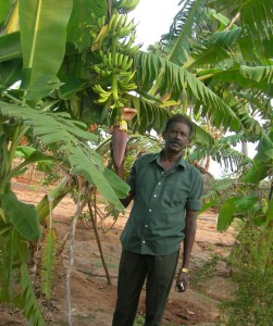 Banana farmer at NGO Social Change and Development 