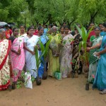 SCAD employees planting saplings