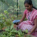 Eleveni in the SCAD nursery